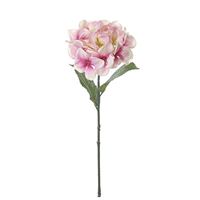 Hortensia lyserød 56 cm